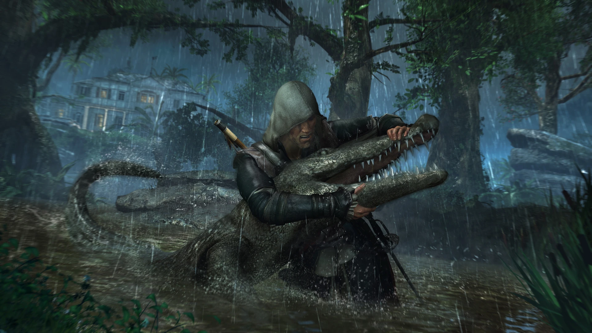 To my eyes, the demo of Assassin's Creed 4 didn't differentiate itself from the graphics of a capable gaming PC