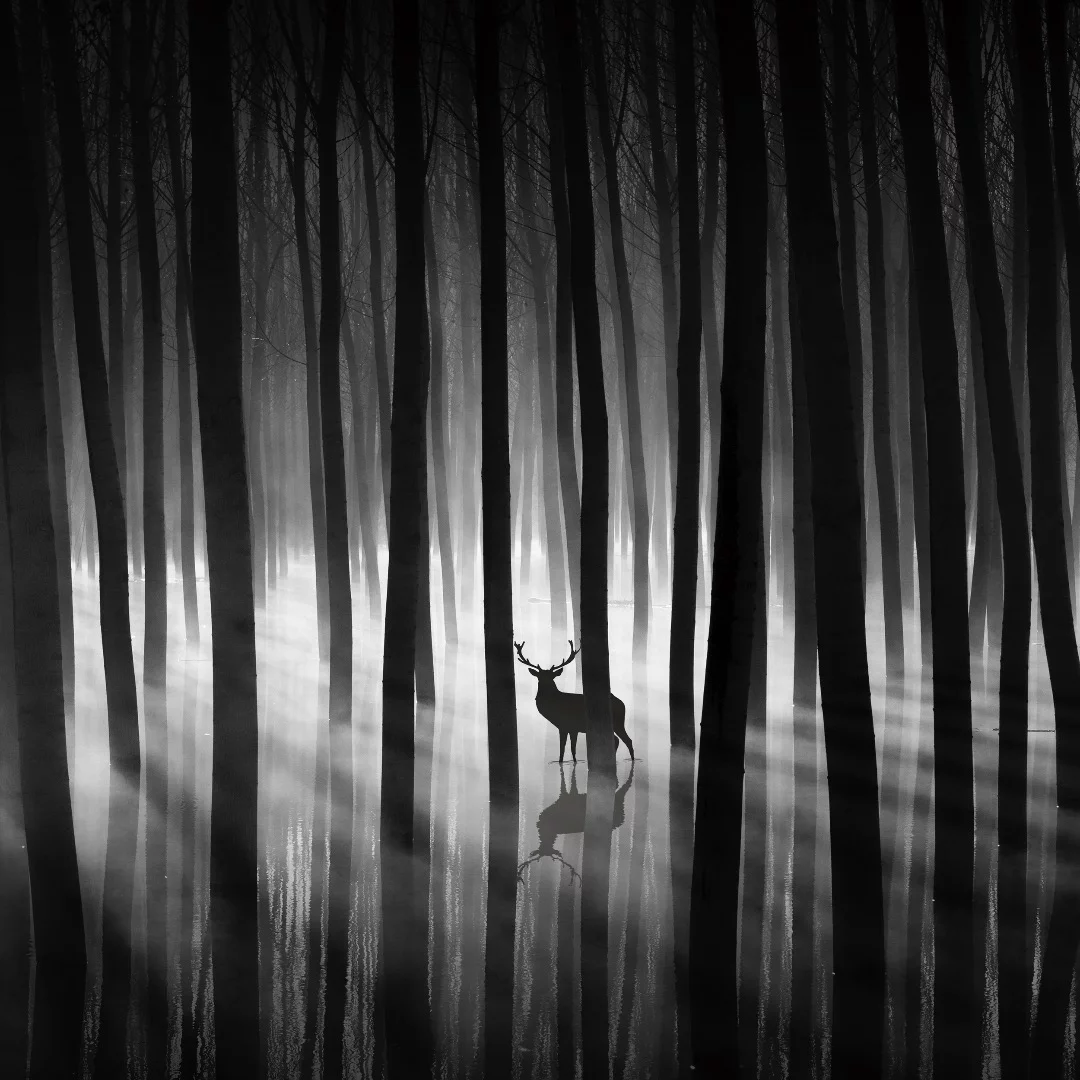 "Untitled" from Pedro Díaz Molins