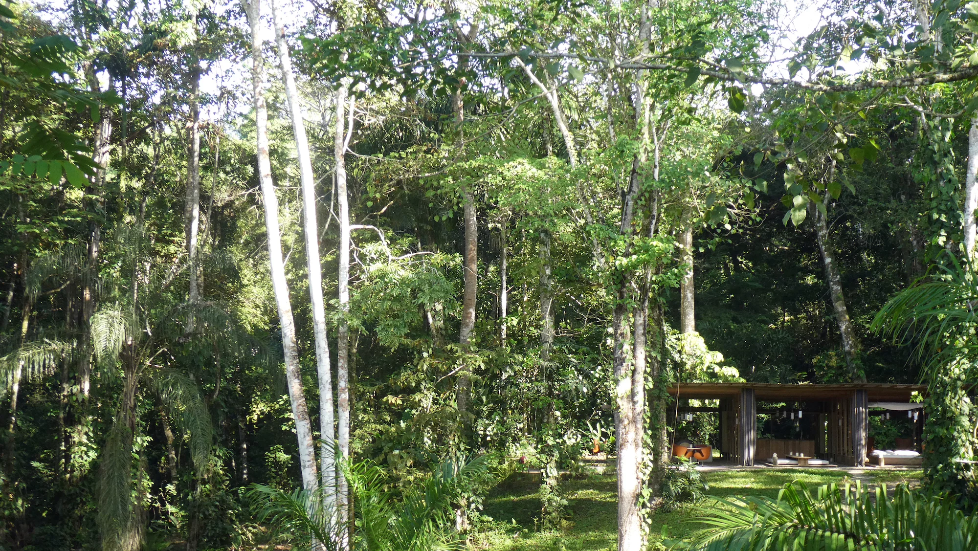 The Open Jungle House is located in a forested area in Costa Rica