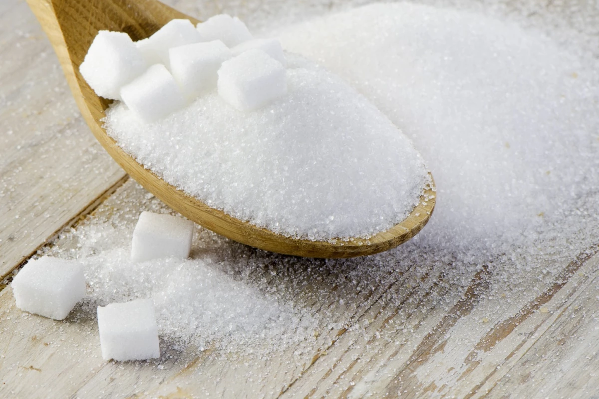 A pair of nerve cells in the throat may be the key to reducing sugar cravings in fruit flies, and possibly humans