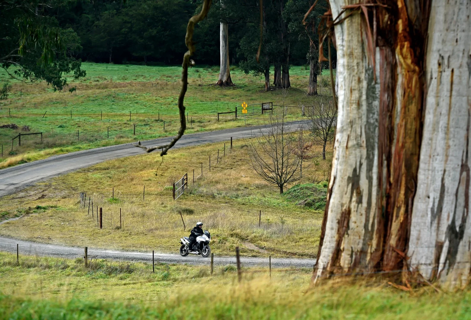 2016 Triumph Tiger Sport 1050: makes no pretense of off-road capability, but handles gravel roads fine