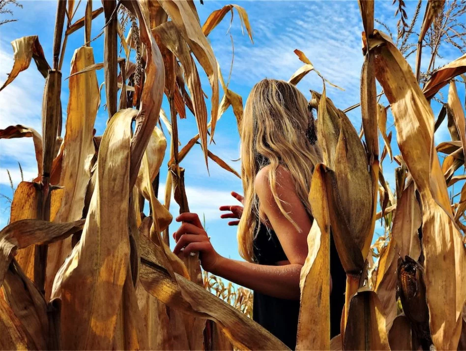 Honorable mention in the children's category of the 2018 iPhone Photography Awards