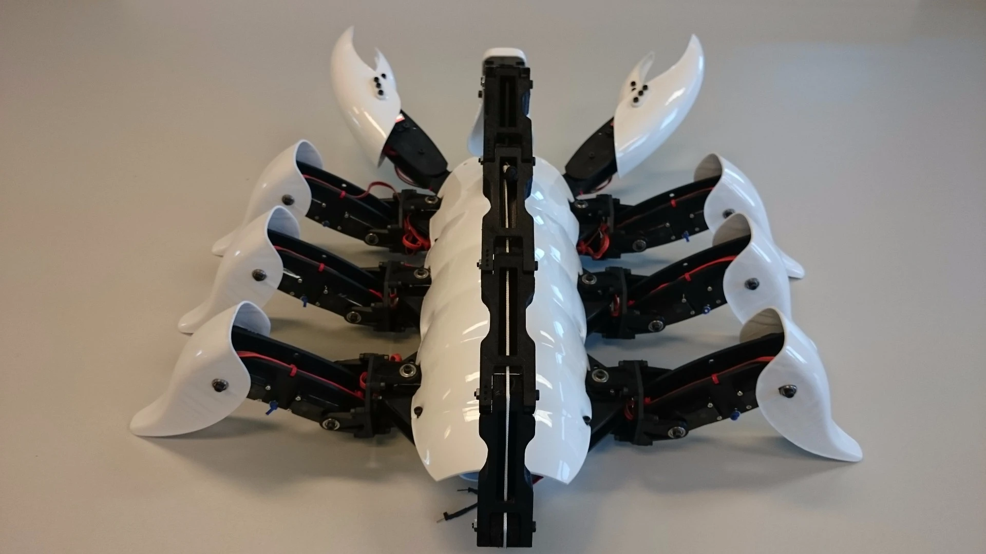 The modules that make up the legs and tail were 3D-printed