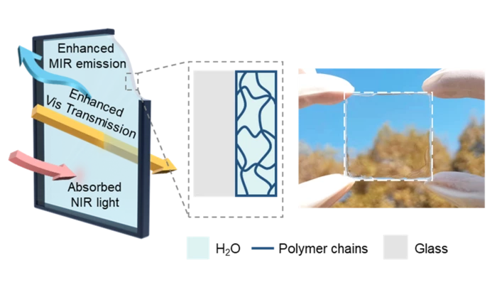A diagram illustrating the properties of the new hydrogel-glass