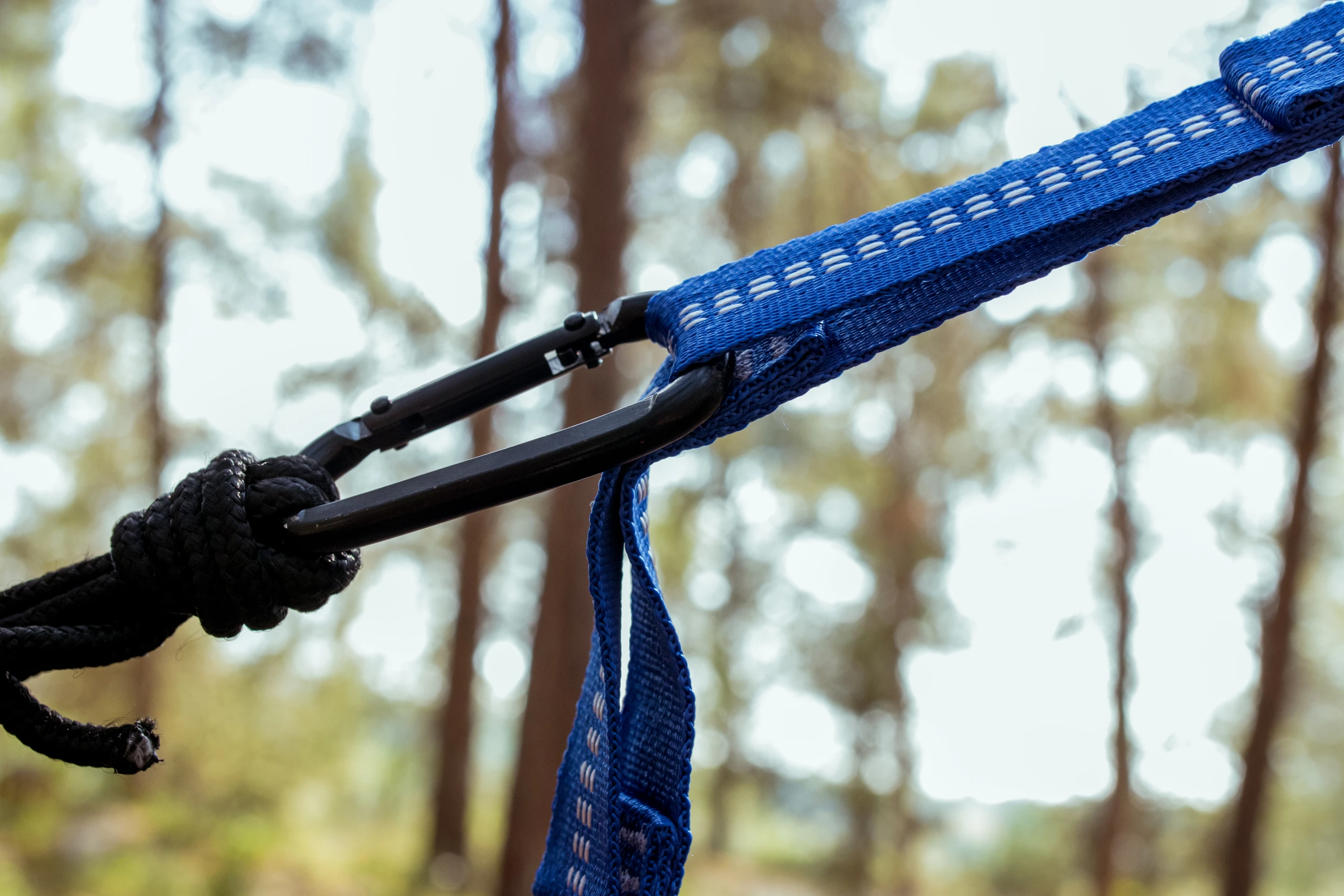 Carabiners and tree straps get the Koala off the ground