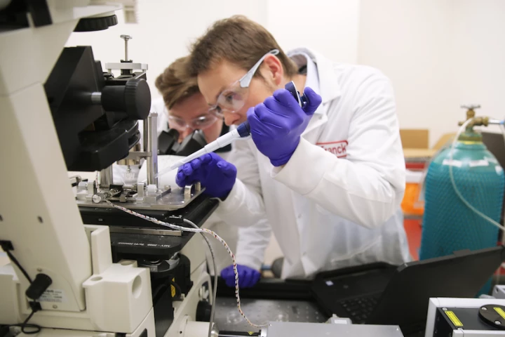 Associate Professor Christian Franck (right) and PhD student Harry Cramer experiment with concussed brain cells in the lab