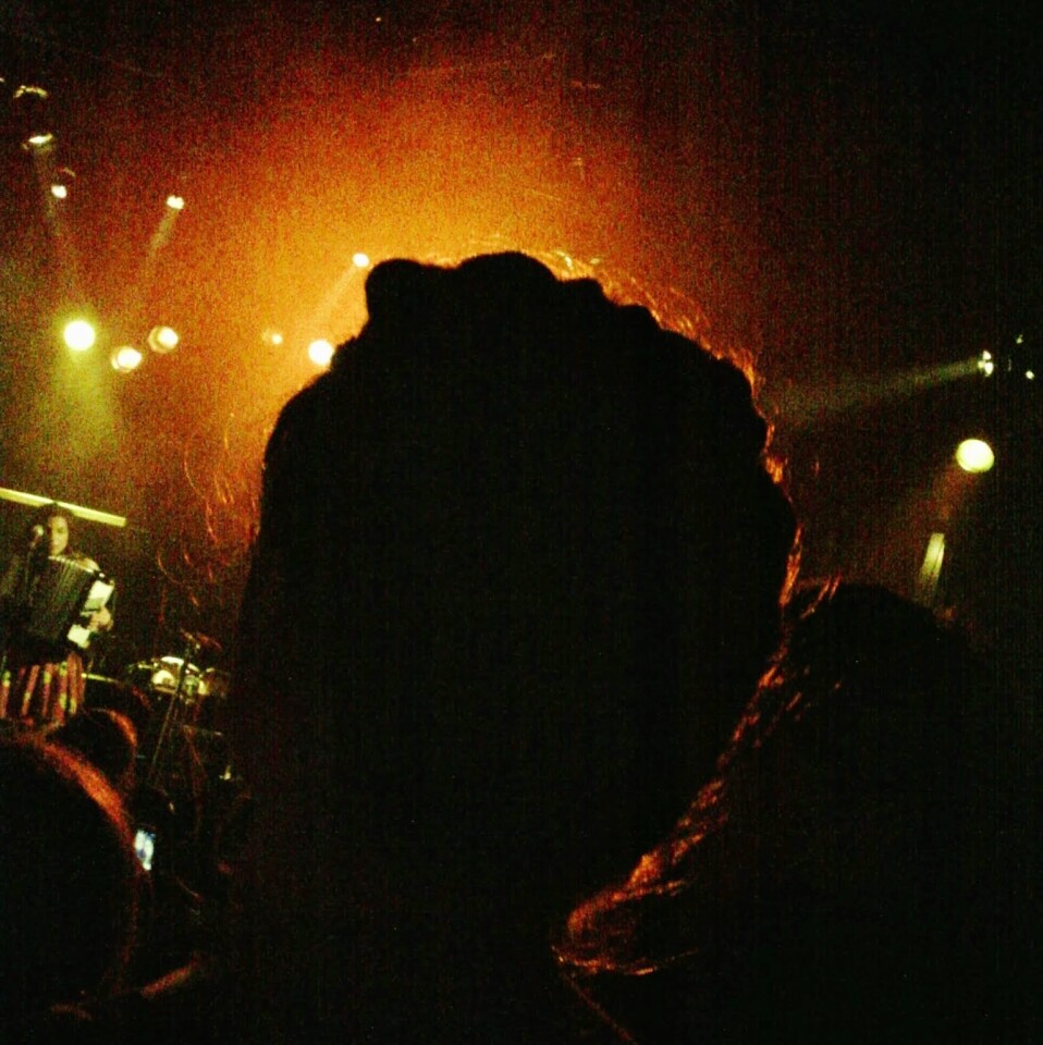 A picture taken at a gig (cropped)