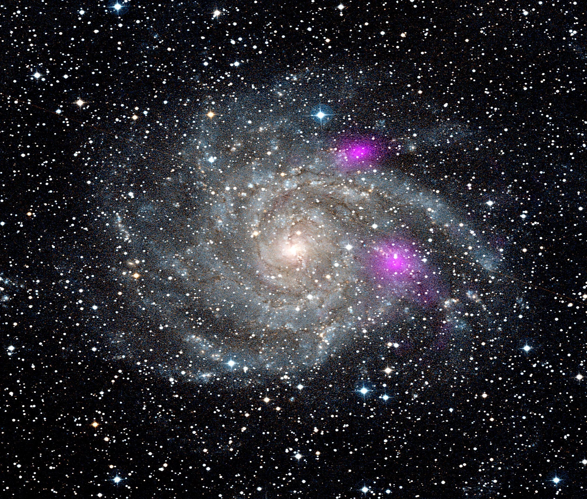 Black holes blaze magenta in this NuStar photo of spiral galaxy IC342 (Photo: NASA)