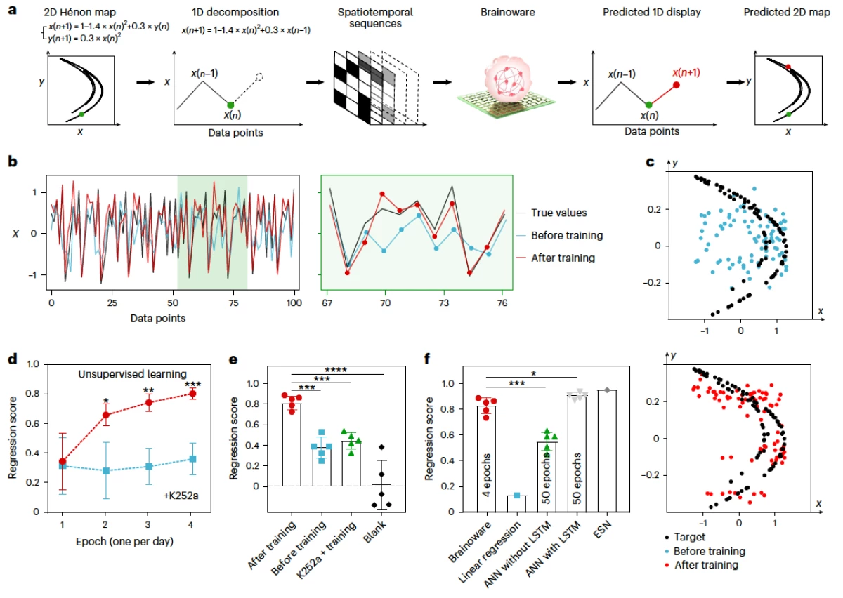 Cyborg computer with living brain organoid aces machine learning tests