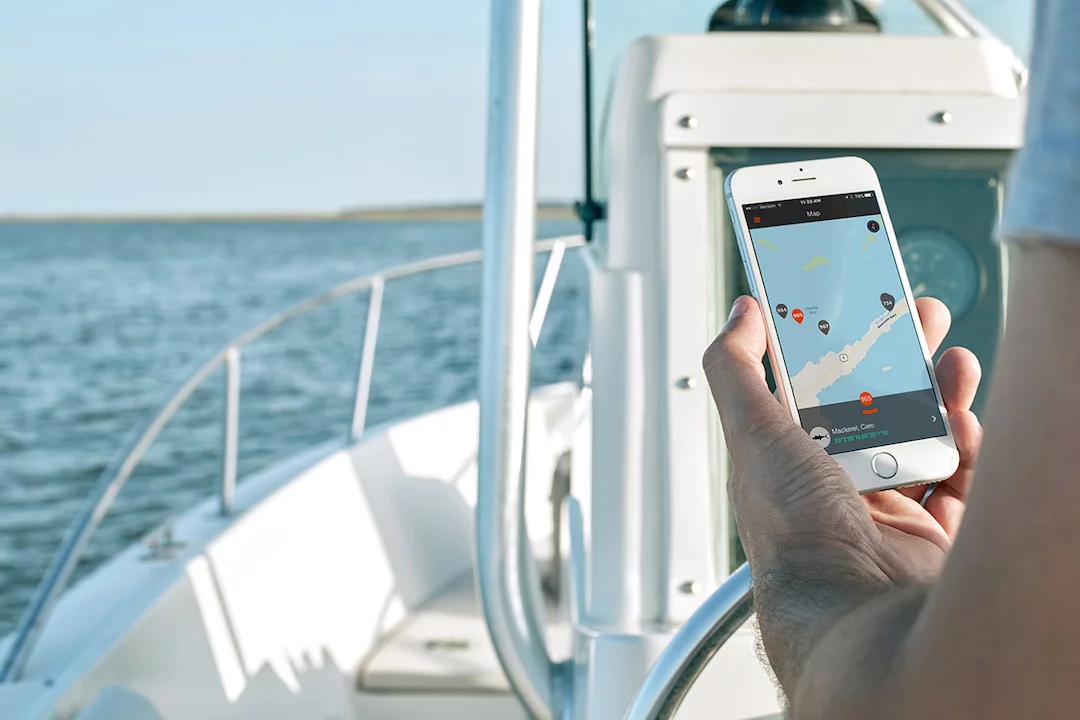 FishVerify is currently in beta, and due to be released in February 2017