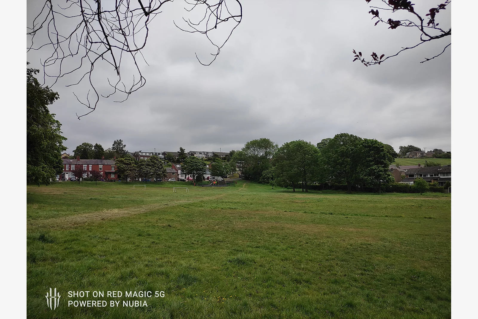 The RedMagic 5G doesn't have an amazing camera, but it can get good results