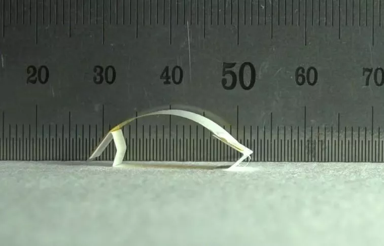 The microbot concept in motion