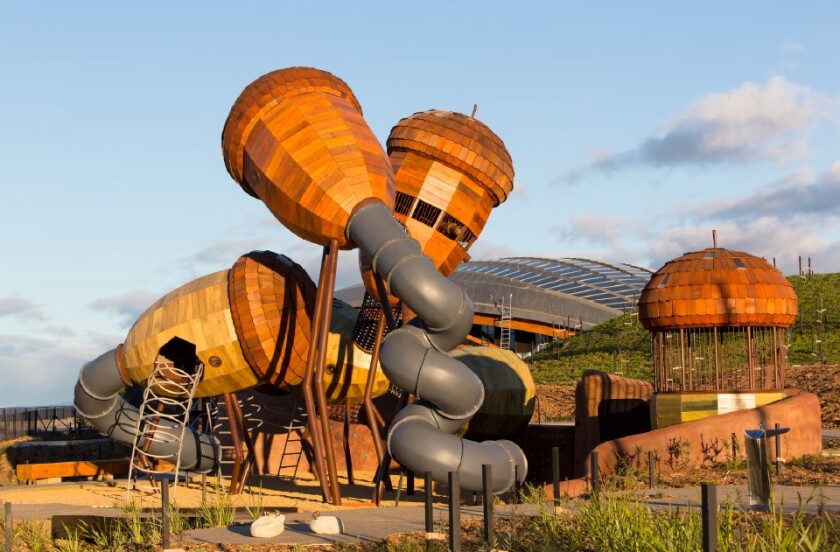 World Landscape of the Year Winner: National Arboretum Canberra, Australia - Taylor Cullity Lethlean and Tonkin Zulaikha Greer