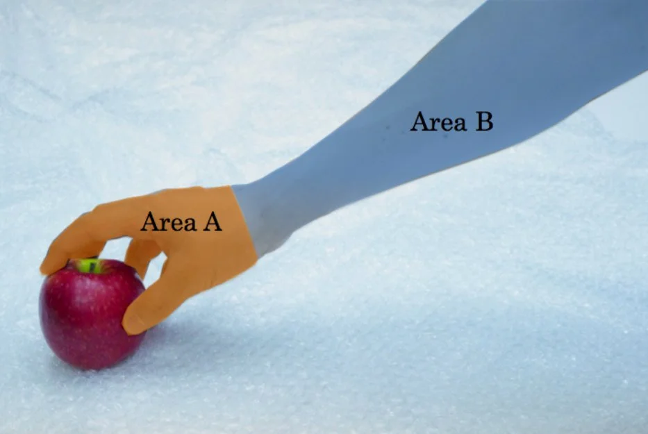 Stimulating muscles in the forearm can control movement of joints in the hand (Photo: Emi Tamaki and Jun Rekimoto / University of Tokyo)