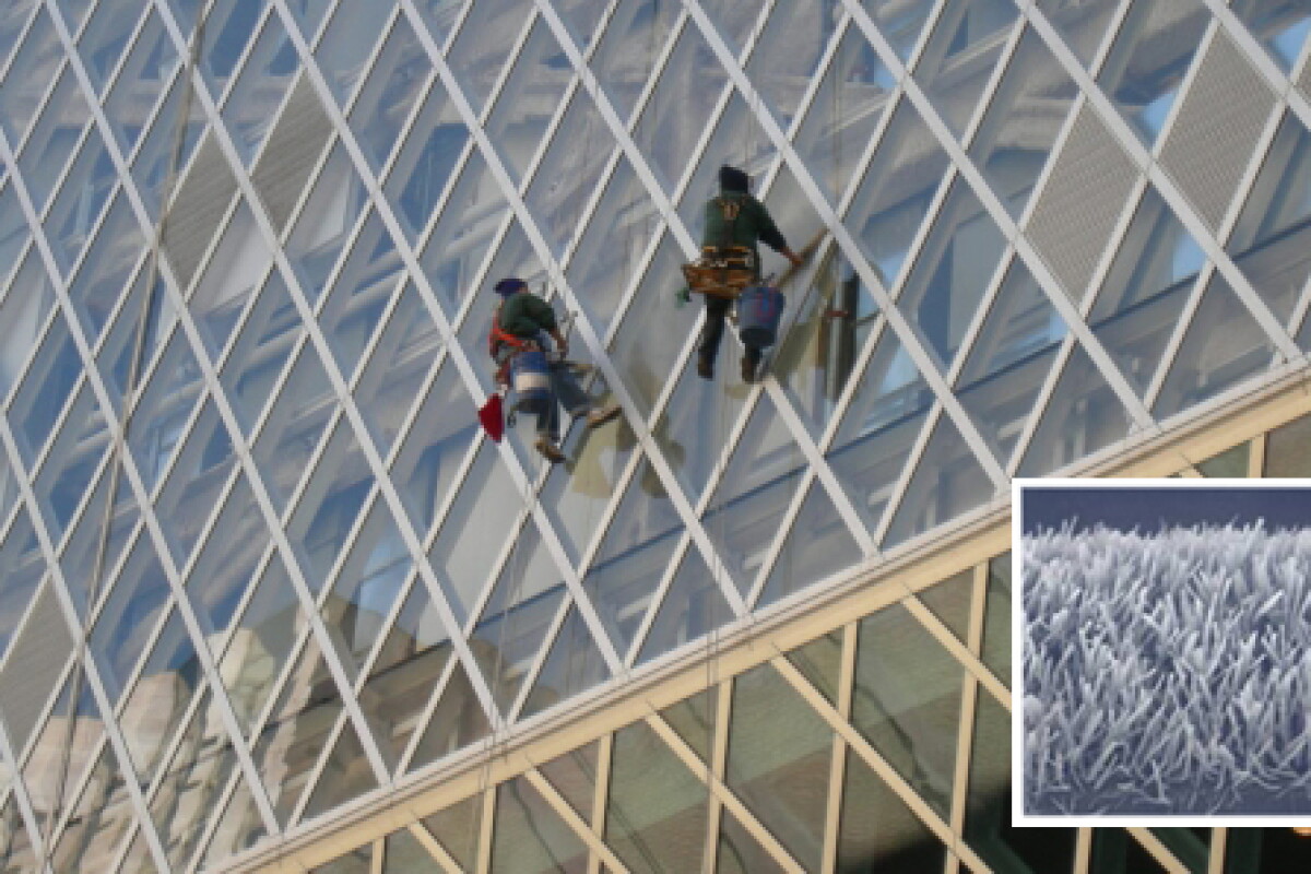 Tokyo-based Sketch targets global markets with roller-applied UV coating