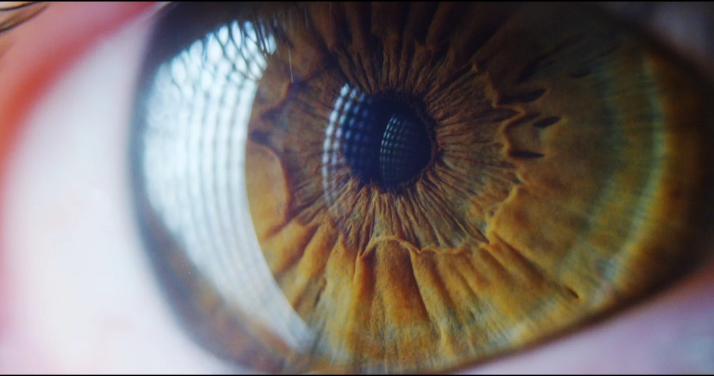 Stem cells could prove useful in restoring vision in human patients