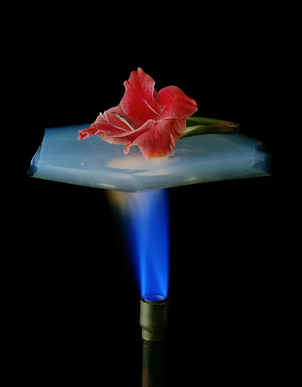 A delicate flower is protected from a hot flame by a quarter-inch (6 mm) of aerogel (Photo: NASA)