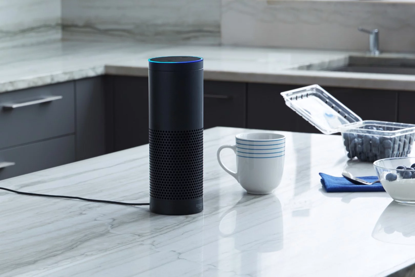 Both Spotify and Amazon Music Unlimited can stream through the Echo speaker