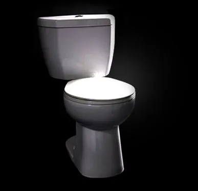 The Niagara Stealth Toilet