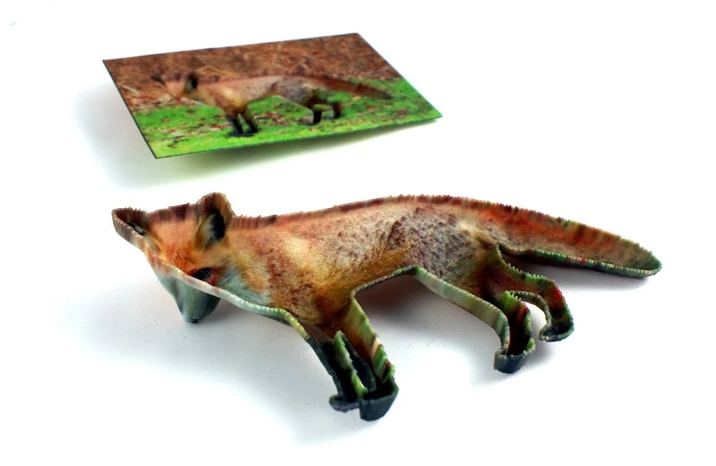 Rear of a BumpyPhoto and cutout