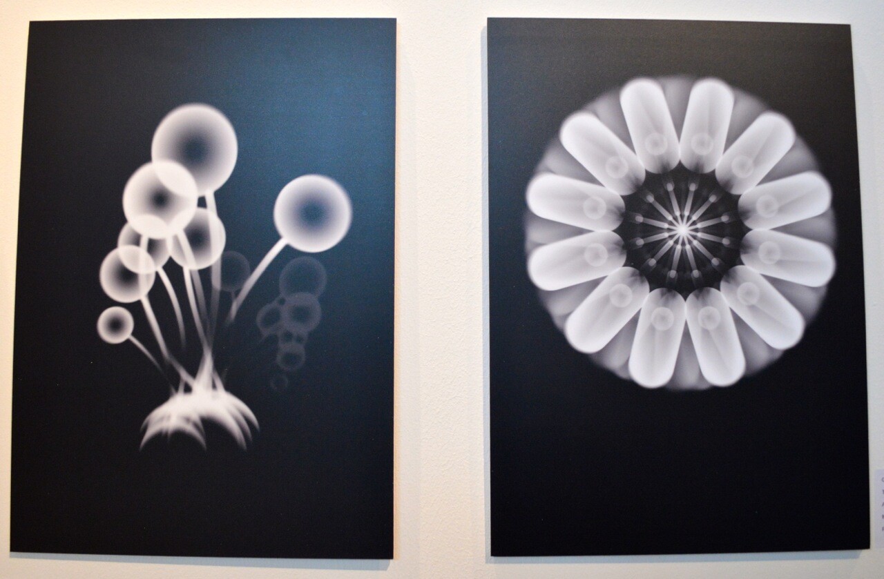 Vector graphics pieces by Quartic Llama's Tom deMajo, from Moeba