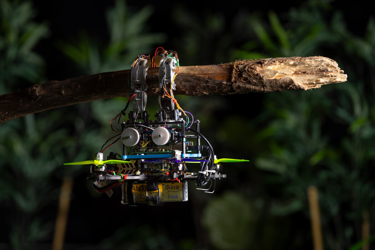Bird-inspired drone relies on sense of touch to firmly grasp branches