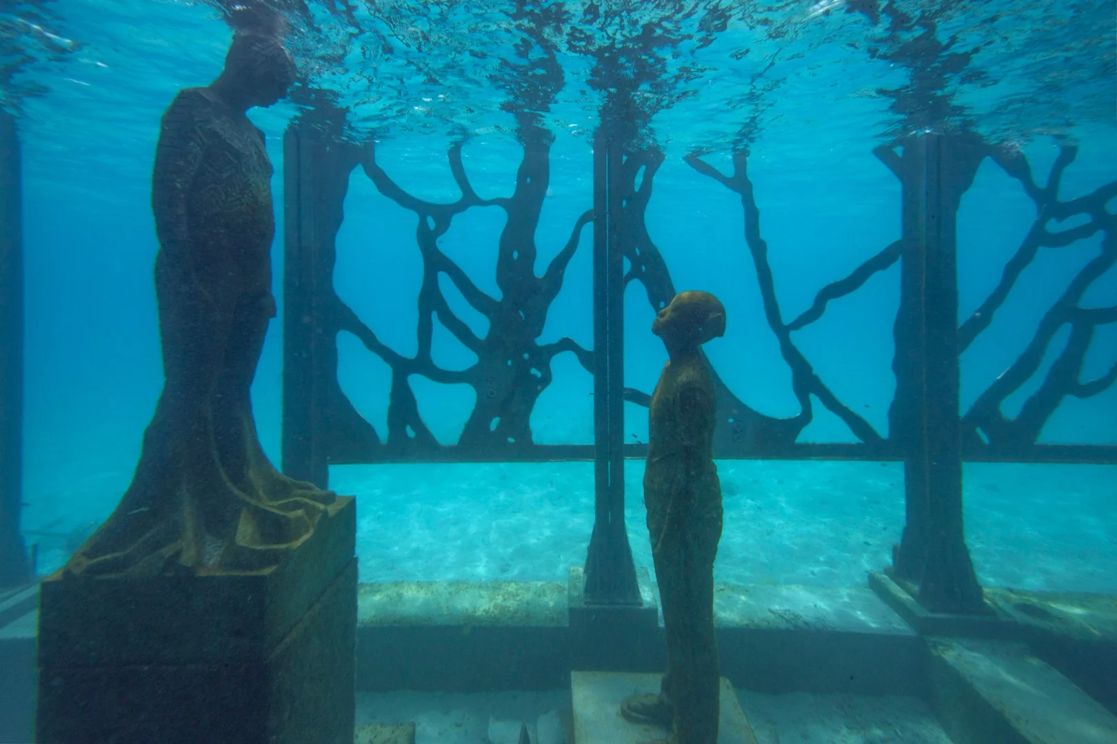 The underwater sculptures are designed to be colonized by marine algae