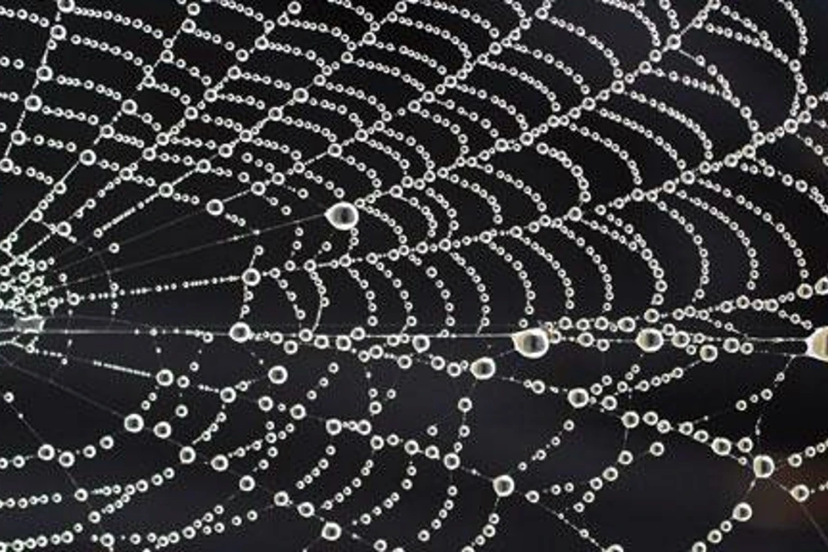 The new silk is made out of hydrogel