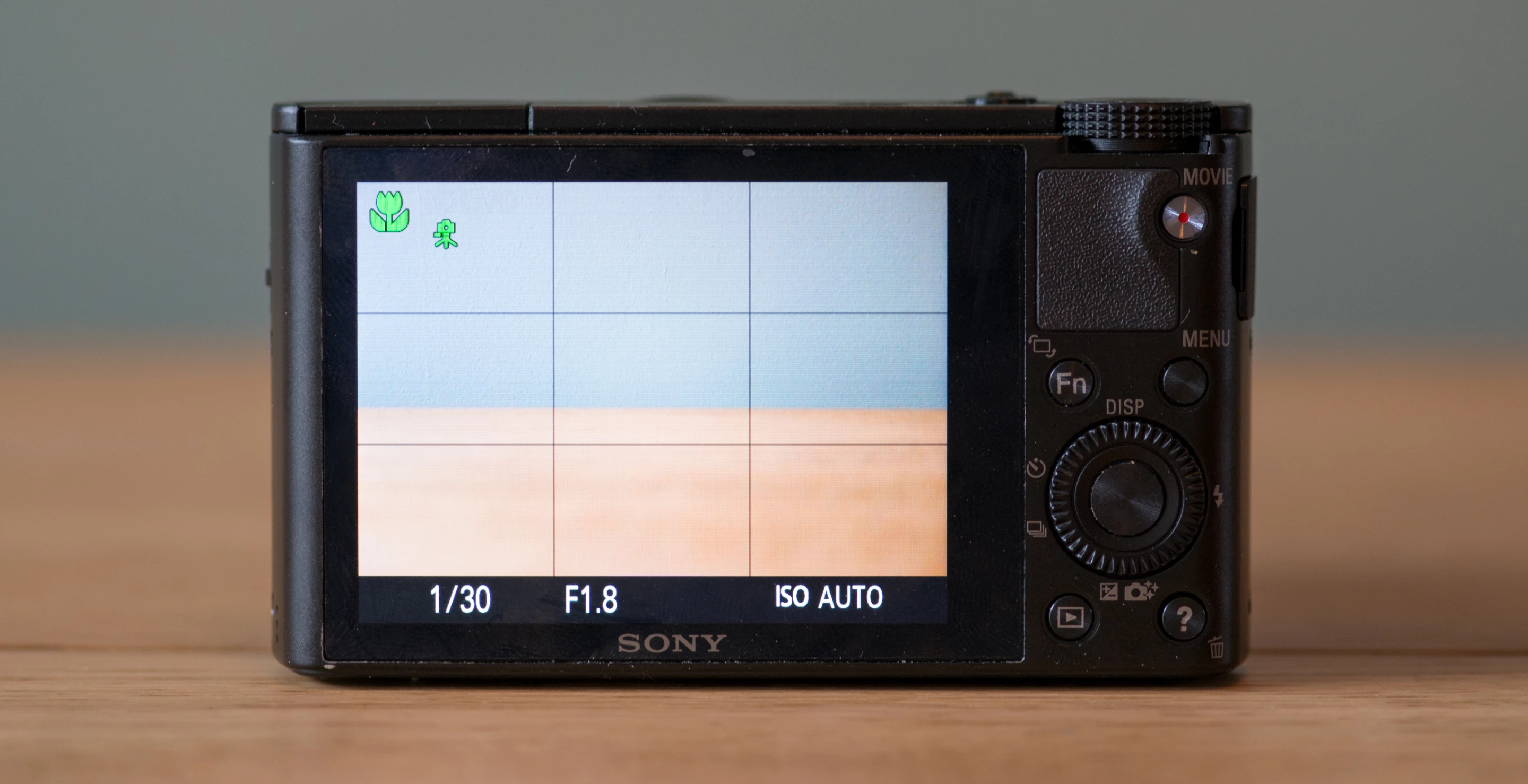 The 1.0-inch sensor in the Sony RX100 means it can capture photos with considerably more detail and should be able to cope better in low light