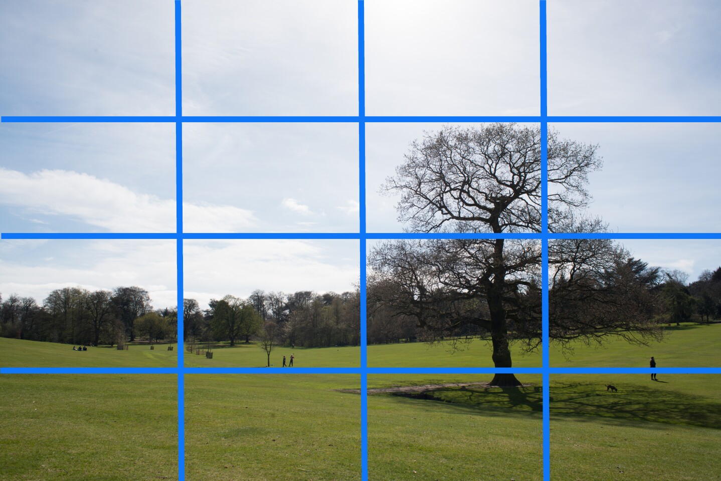 This image was taken with evaluative metering (zone grid for illustrative purposes only) and gave a good overall exposure