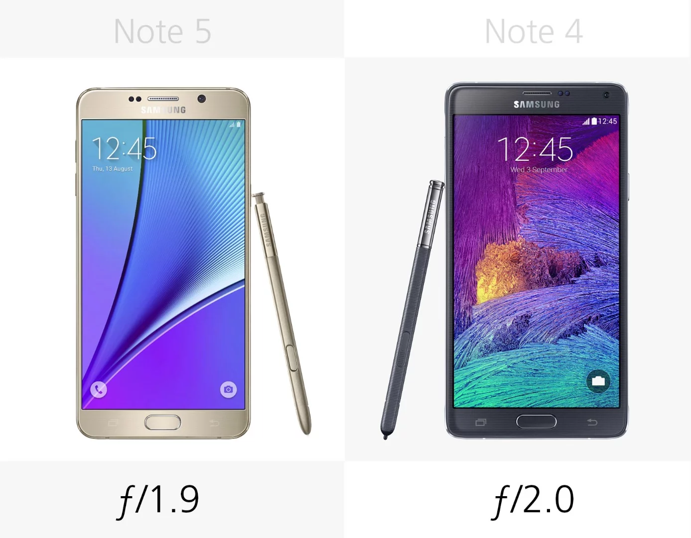 Camera aperture (rear)