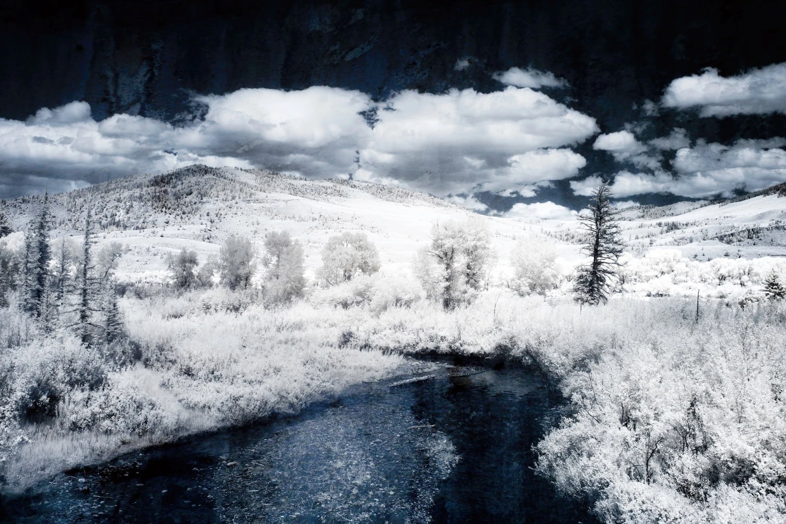 Greg Westfall’s infrared photography, using a converted Canon EOS-1D Mark II, captures a 720 nm wavelength, whiting out all the greenery (Credit: Greg Westfall Flickr / CC BY 2.0)