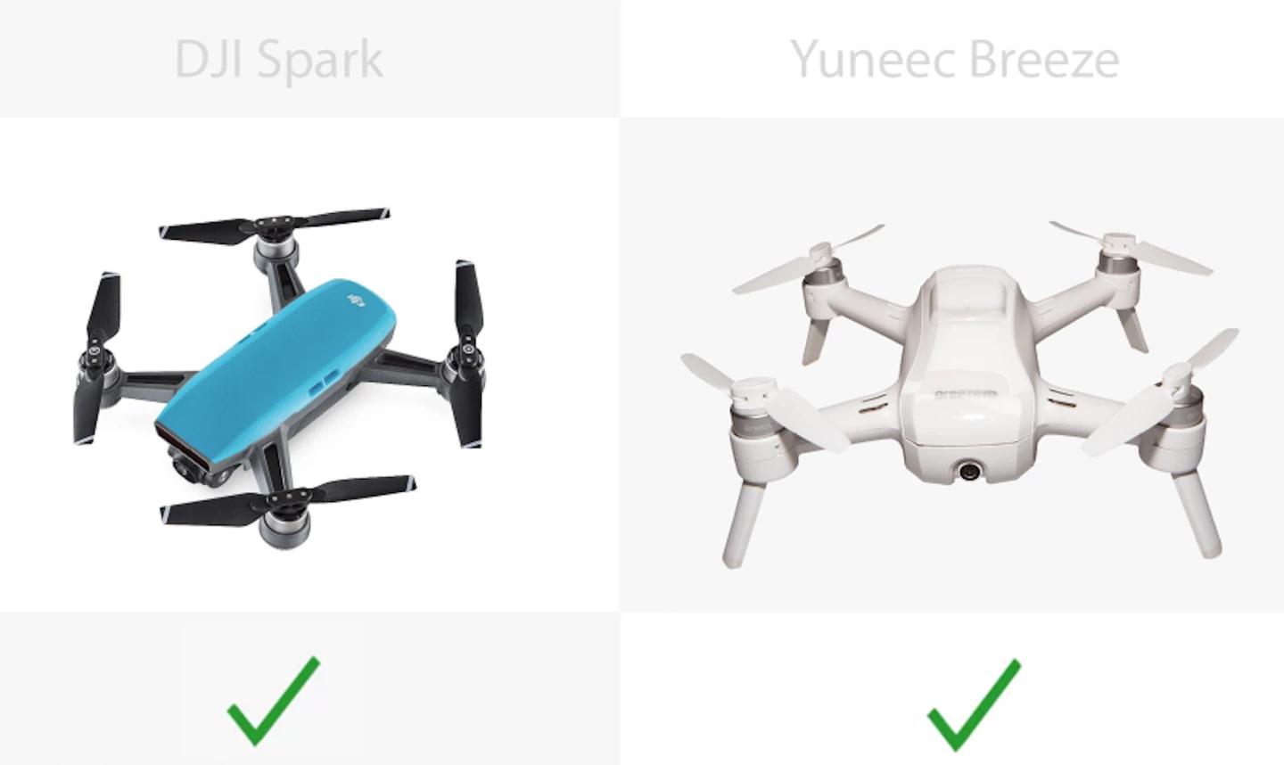 Ticks for both