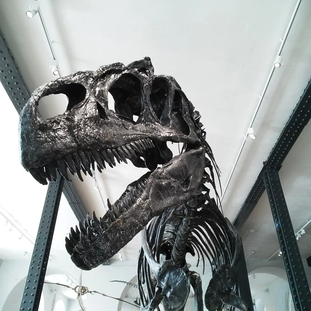 An example digital file from the Fujifilm Instax SQ10 digital instant camera