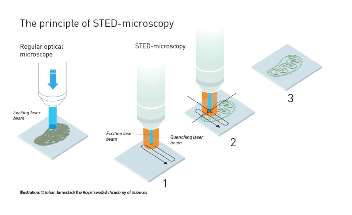 Diagram of STED microscopy