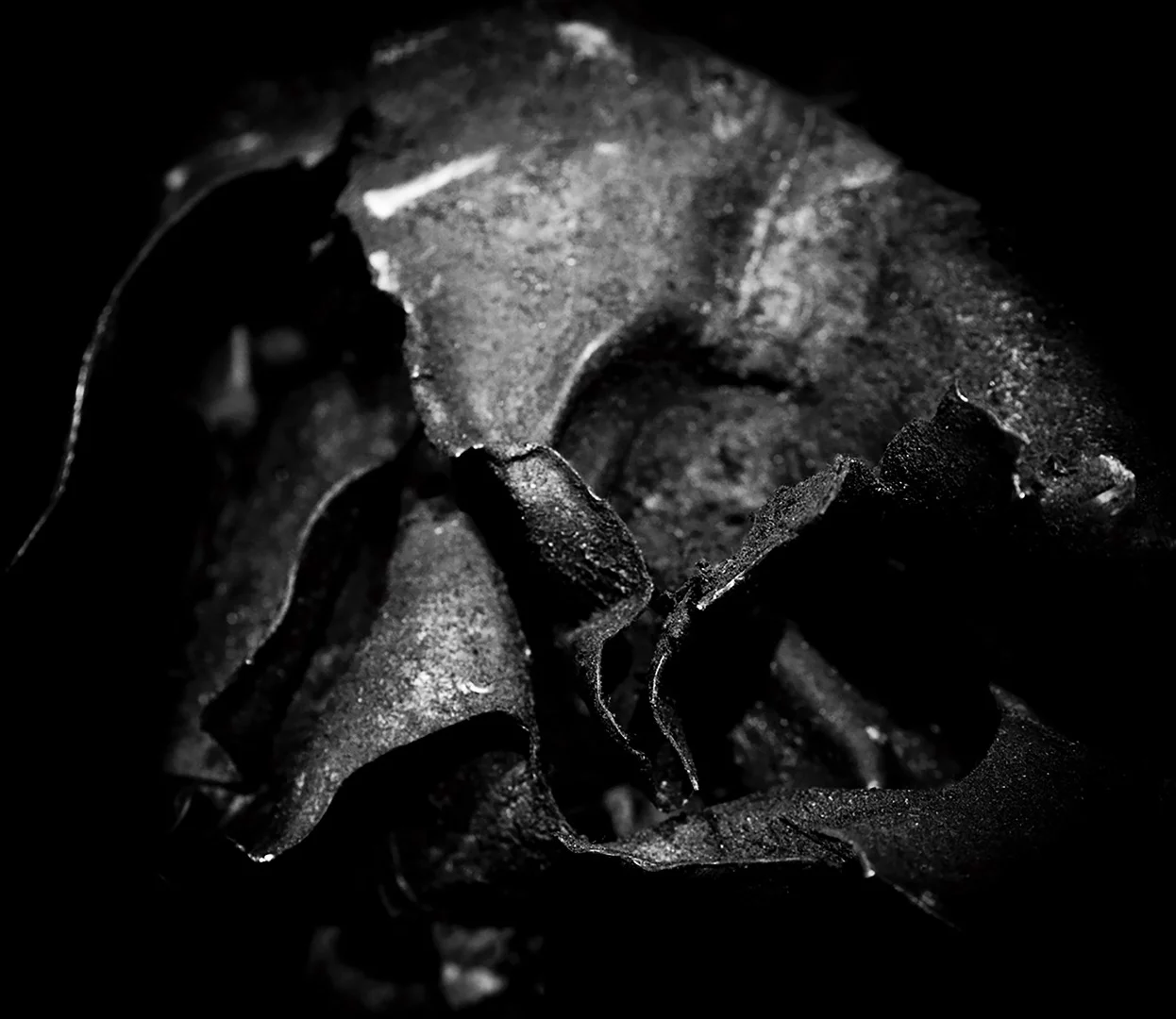 Artist caption, "In July 2011 a car bomb exploded outside the Norwegian governmental offices. Eight people died. This is the fragments of the bomb. Later the same day, a shooter killed 69 young people on an island outside the capital of Oslo"