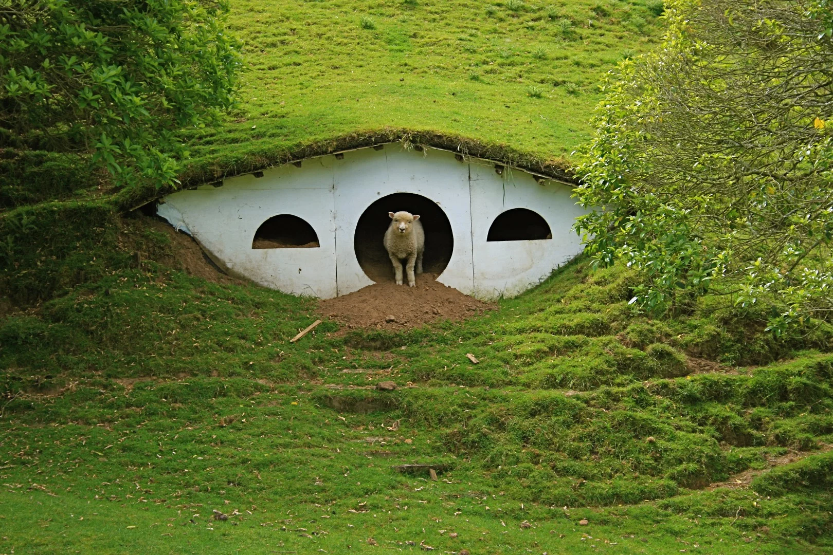 Hobbiton in New Zealand is the location of the Hobbit houses built for the Lord of the Rings movies. They aren’t exactly functional houses, with most just acting as facades but they certainly inspired a new generation of underground designers. Today they have been repurposed into sheep abodes (Credit: tara hunt / Flickr CC BY-SA 2.0)