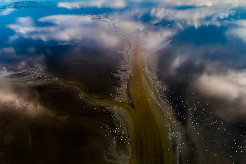 The Way Of Life: Commended in the Nature category