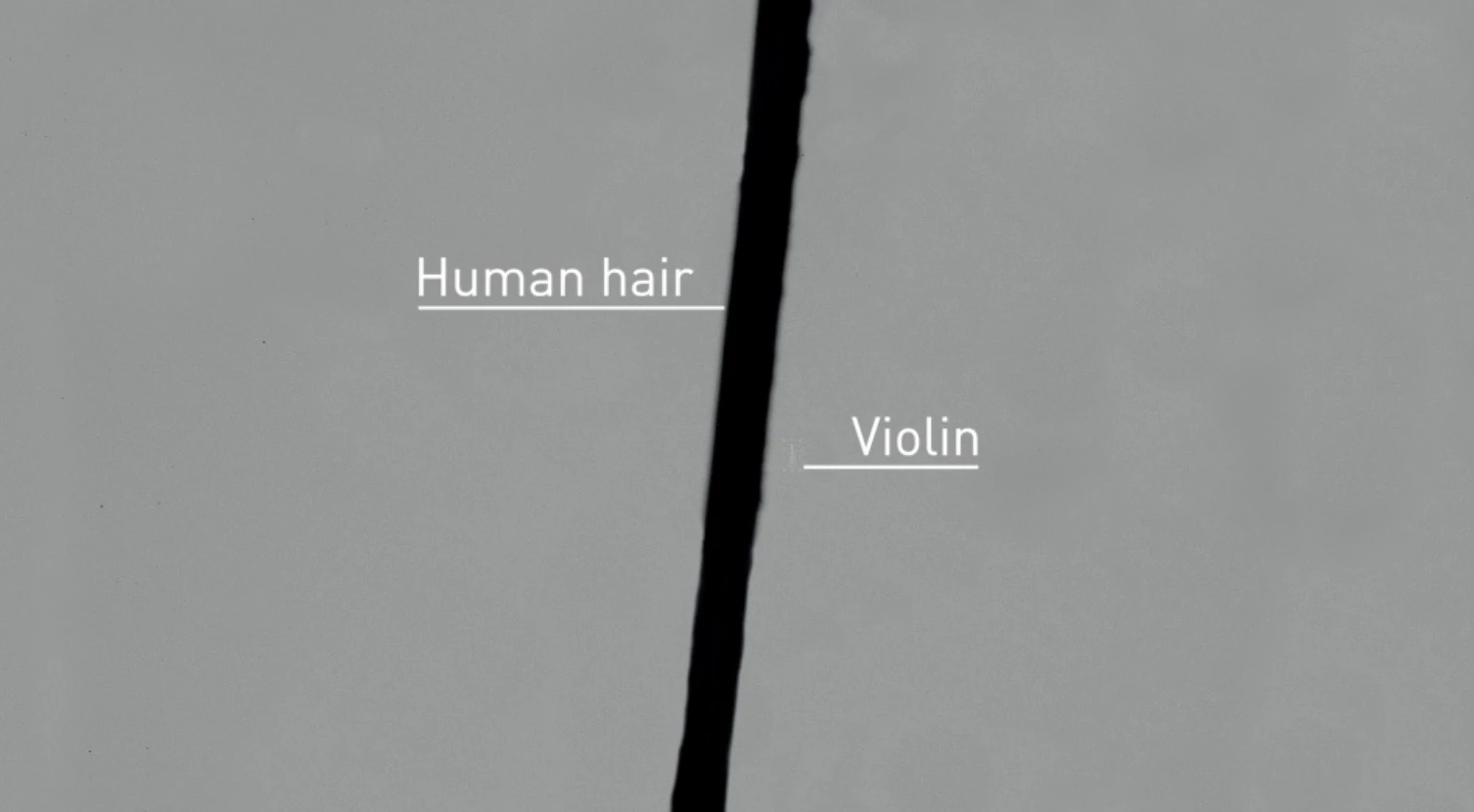 While the diameter of human hair varies, the violin is still smaller than the thinnest strands