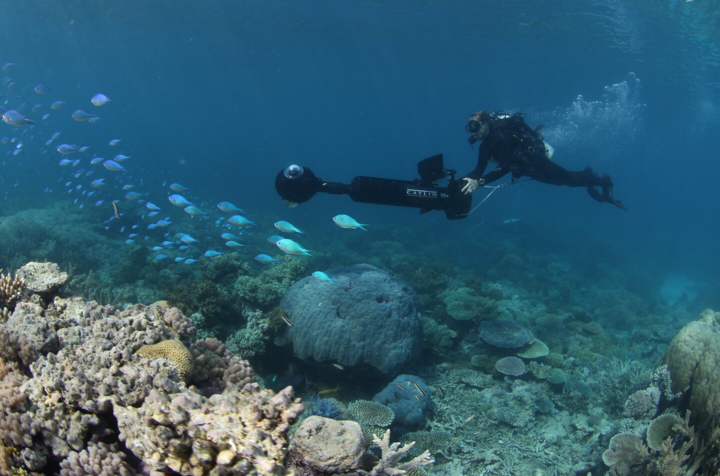 Google Maps takes Street View underwater
