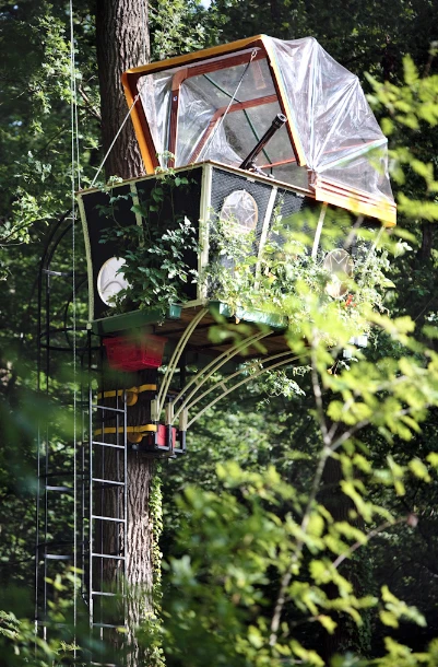 The Sterreschijter is attached to a tree 19.7 feet (6m) above the ground