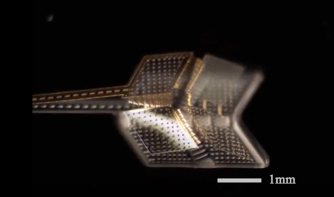 An example of the new folding microbots developed at the University of Michigan