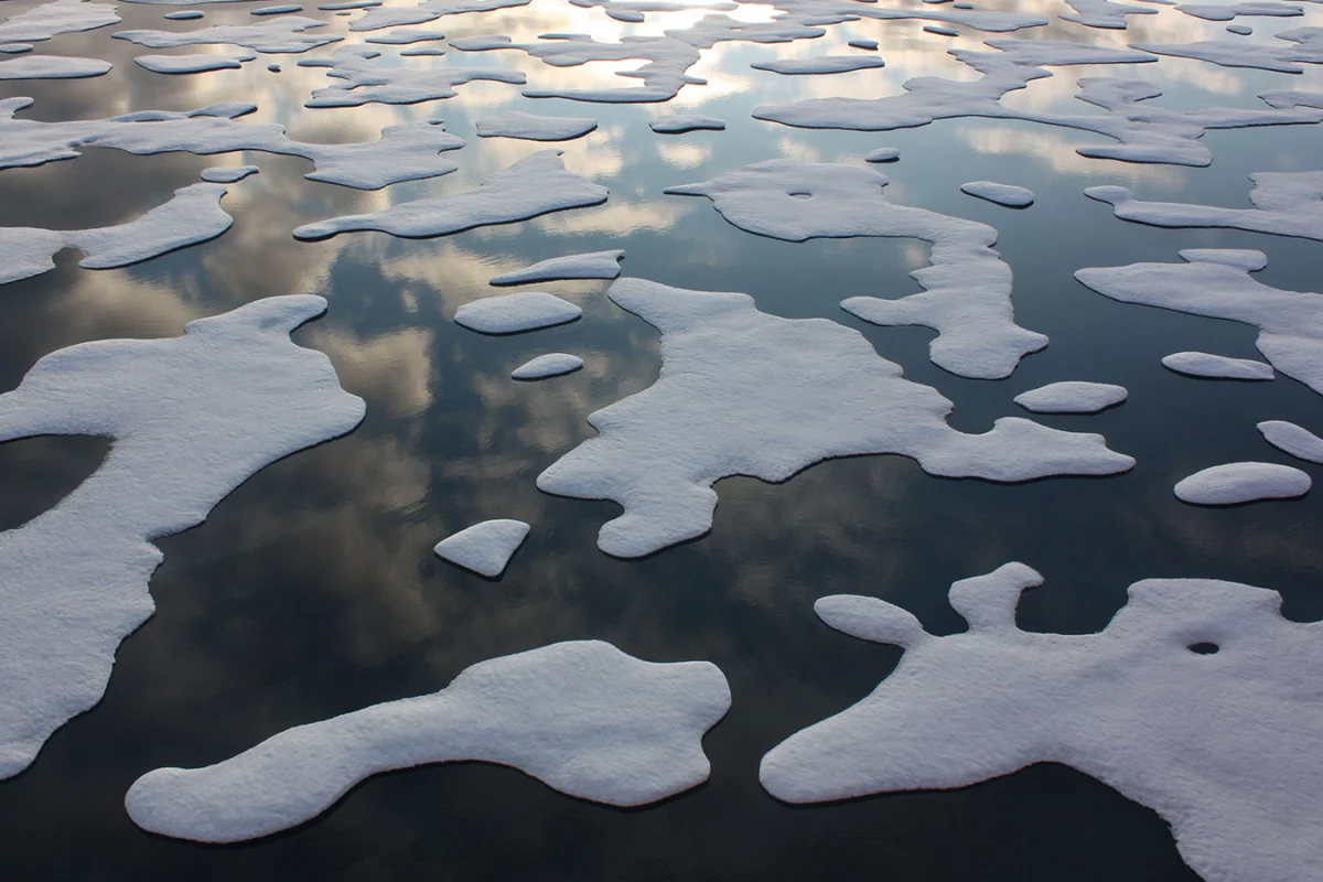 Sea ice coverage in the Arctic has declined significantly over the last few decades