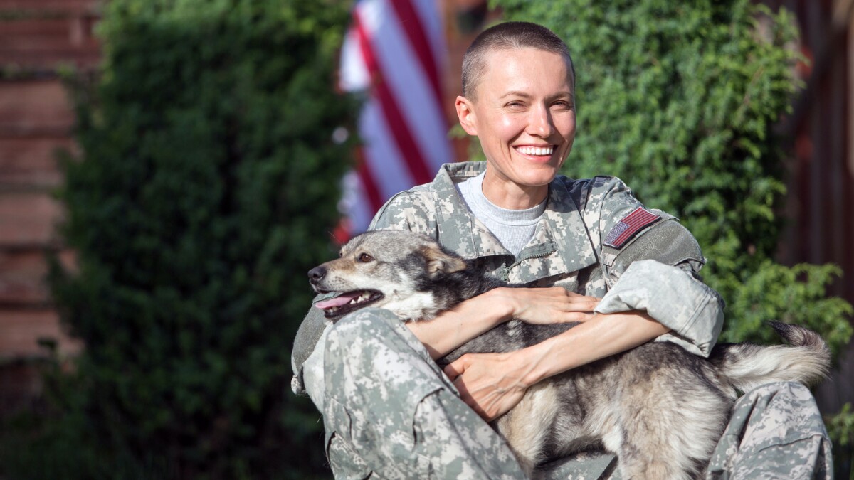 Training service dogs may slow aging in female vets with PTSD