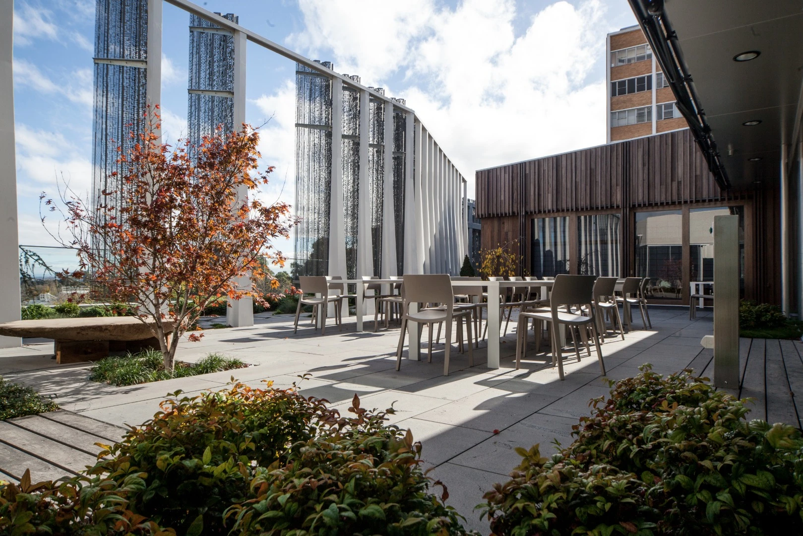 Alongside the Japanese classroom is a quaint rooftop Japanese garden that overlooks the university's Union Lawn