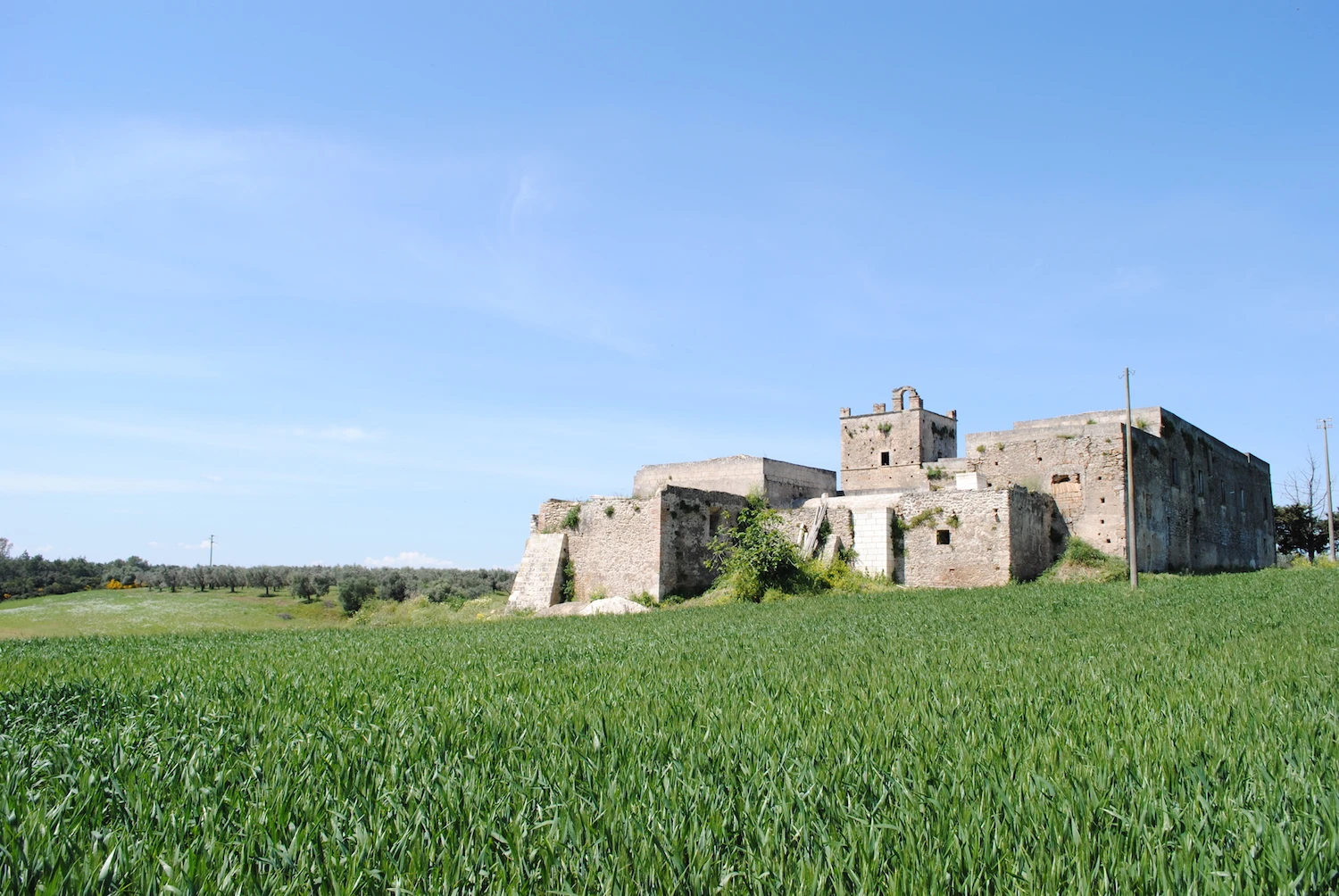 Grancia S.Maria del Vetrano is a property located on a plateau of the upper river valley of Bradano