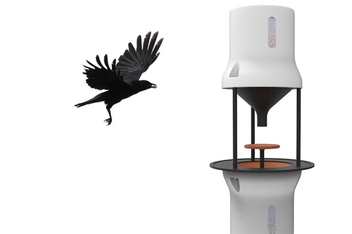 Dutch startup Crowded Cities is developing a device called a Crowbar, which it hopes will teach crows to collect cigarette butts