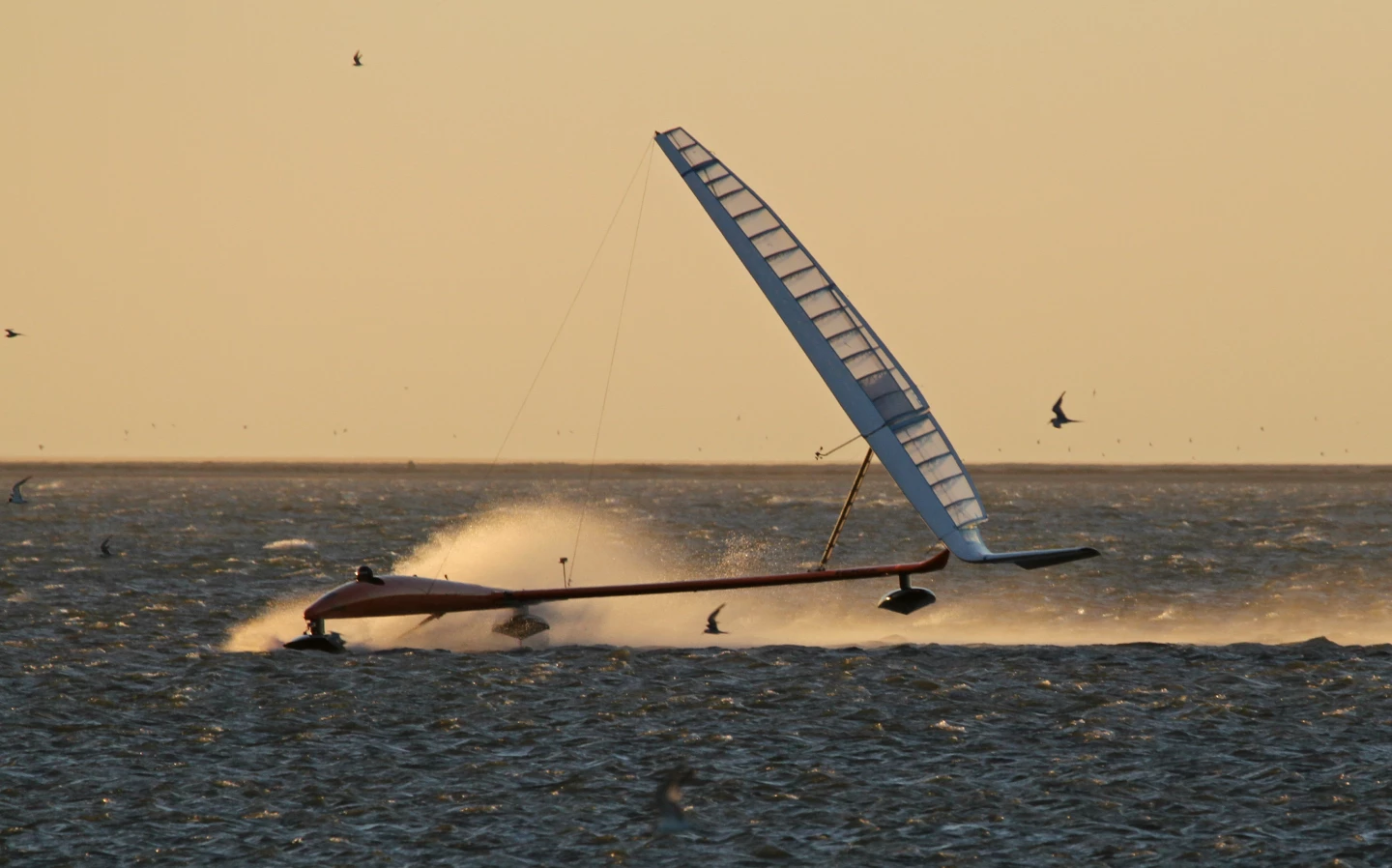 Larsen and the Vestas Sailrocket at high speed. Image copyright Helena Darvelid and Vestas Sailrocket.