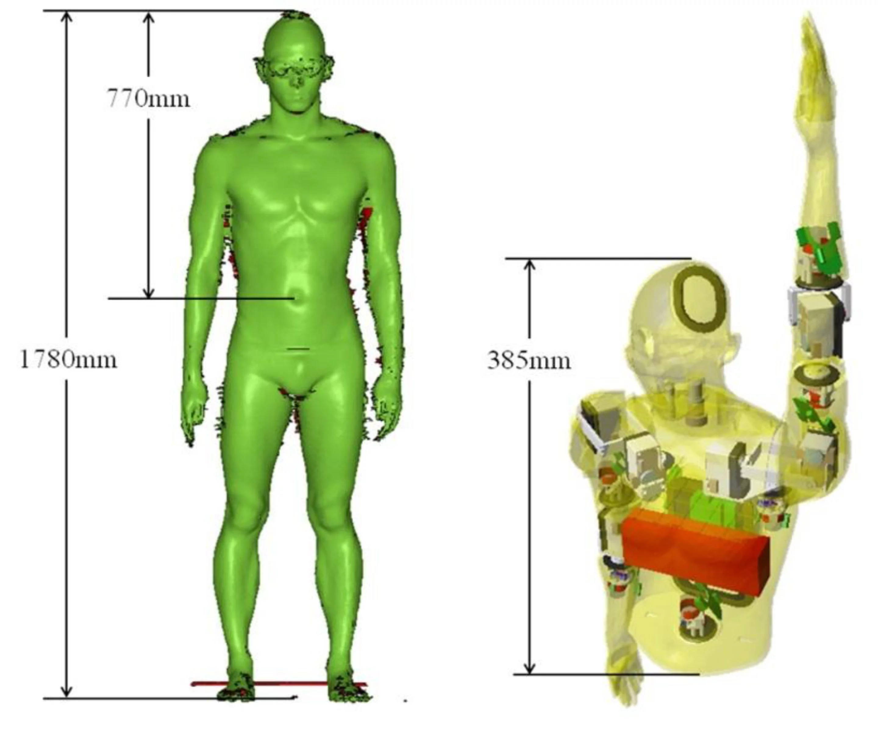 The form of the robot is based on digital scans of human swimmers (Image: Tokyo Institute of Technology)