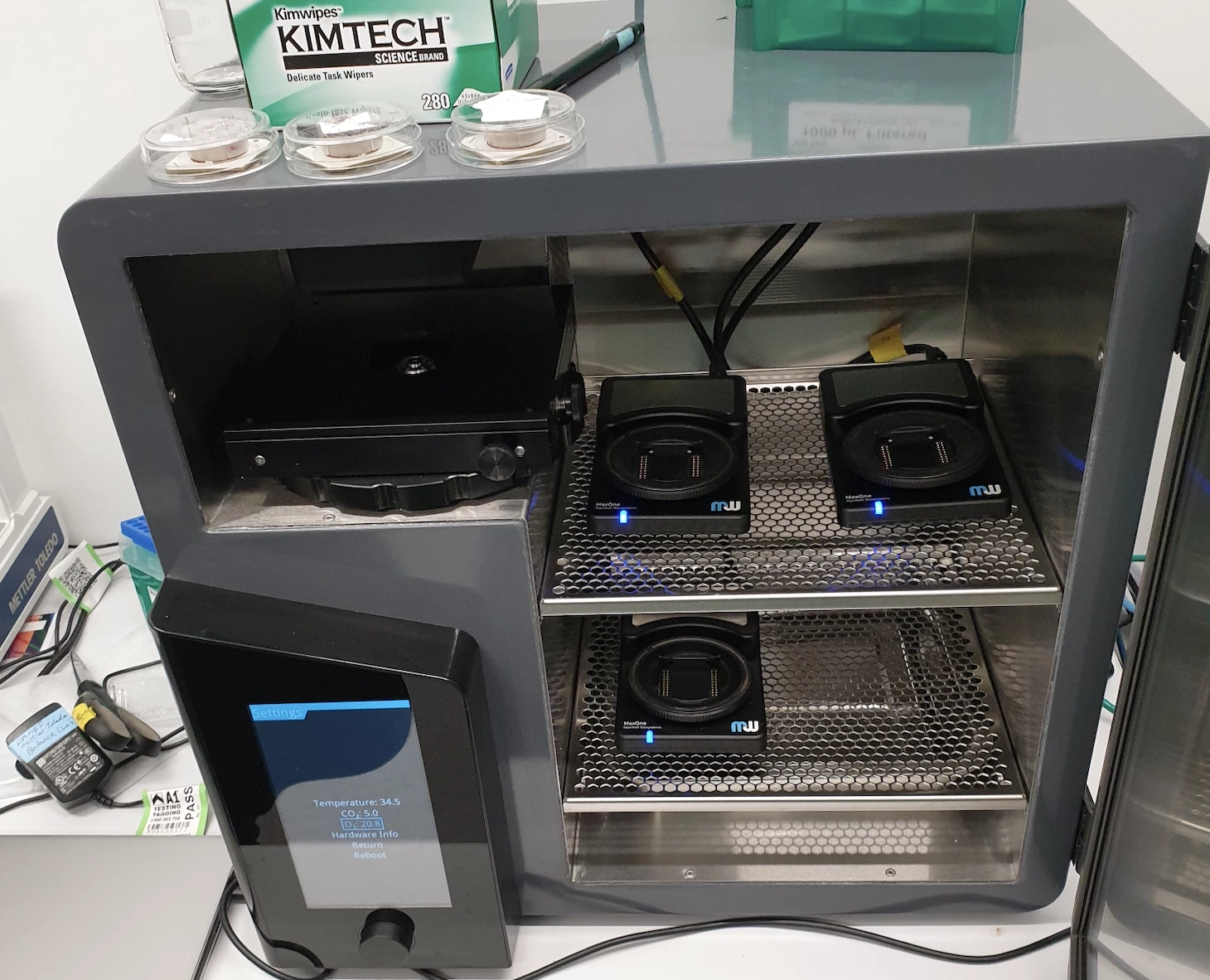 Simulation biological intelligence (SBI) signals a new way to study and treat neurological diseases